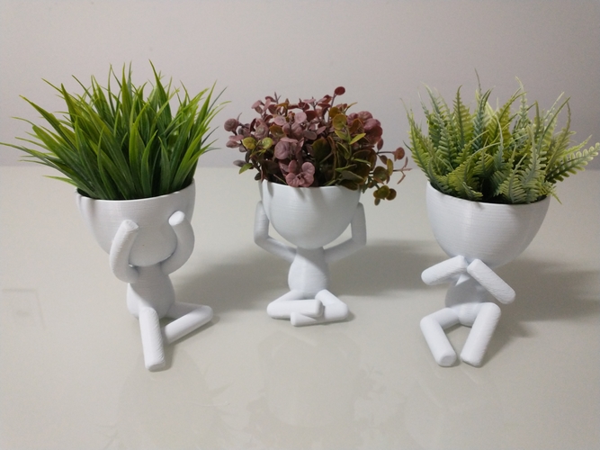 Robert Plant vase/planter - Three Wise Roberts 3D Print 492687