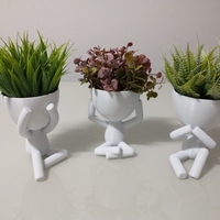 Small Robert Plant vase/planter - Three Wise Roberts 3D Printing 492687