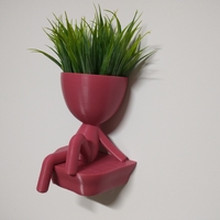 Robert Plant Wall vase/planter - Thumbnail 1