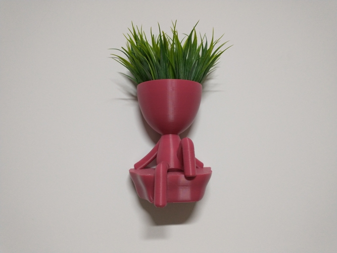 Robert Plant Wall vase/planter 3D Print 492714