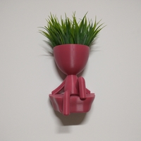 Robert Plant Wall vase/planter - Thumbnail 2