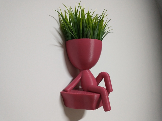 Robert Plant Wall vase/planter 3D Print 492715