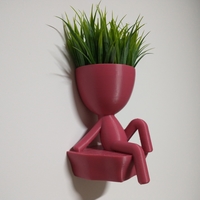 Small Robert Plant Wall vase/planter 3D Printing 492715