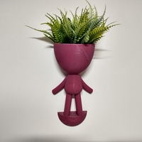 Robert Plant Wall vase/planter - Thumbnail 1