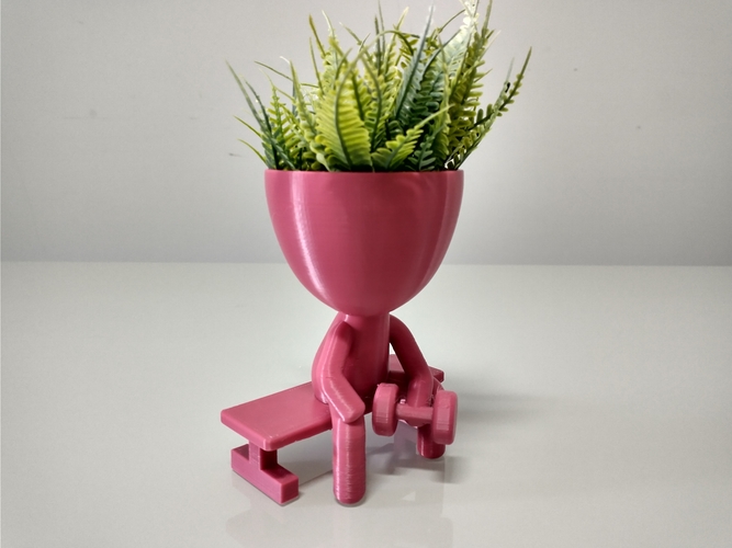 Robert Plant vase/planter 3D Print 492720