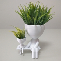 Small Robert Plant vase/planter 3D Printing 492737