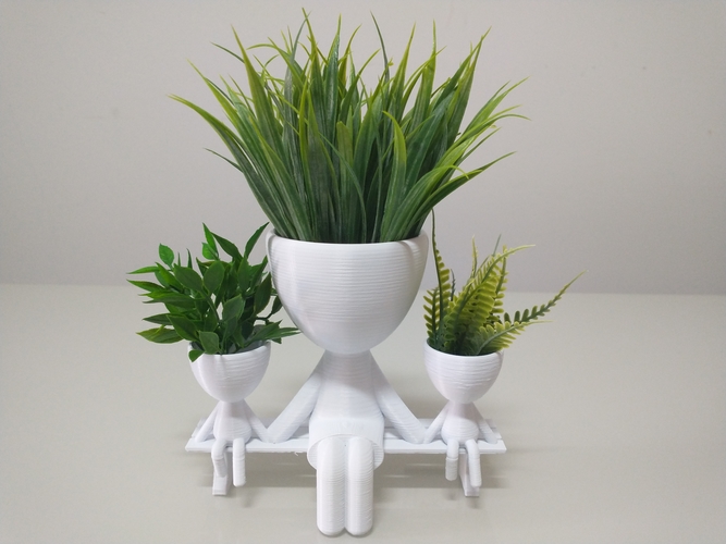 Robert Plant vase/planter 3D Print 492740