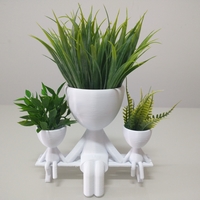 Small Robert Plant vase/planter 3D Printing 492740