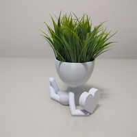 Small Robert Plant vase/planter 3D Printing 492743