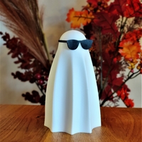 Ghost with sunglasses - Thumbnail 2