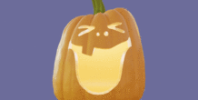 Image 492924