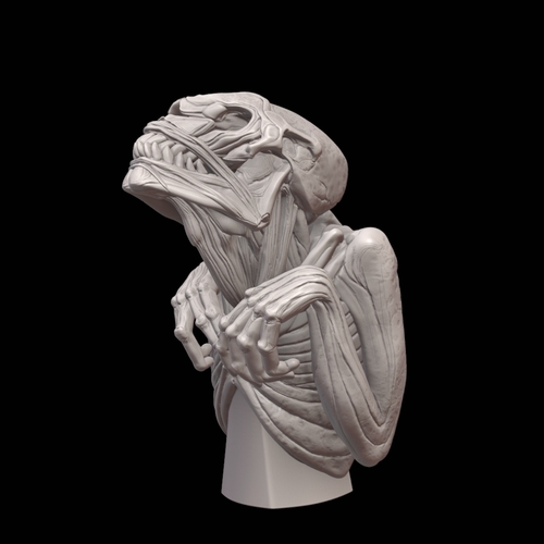 The Beast Bust 3D Print 493062