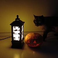 HALLOWEEN LANTERN - Thumbnail 6