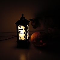 HALLOWEEN LANTERN - Thumbnail 7
