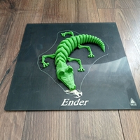 crocodile - Thumbnail 5