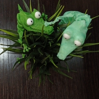 crocodile - Thumbnail 6