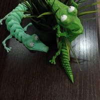 crocodile - Thumbnail 7