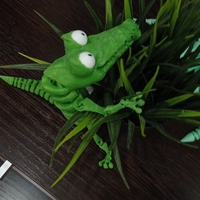 crocodile - Thumbnail 11