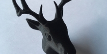 Image 493951
