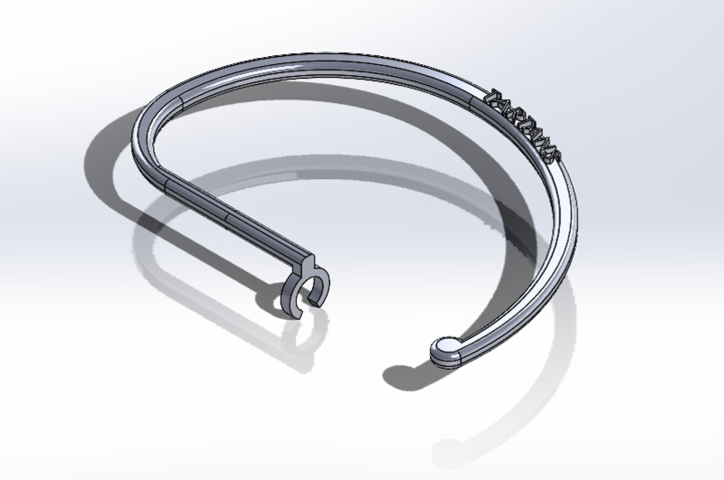 Earbud earhook