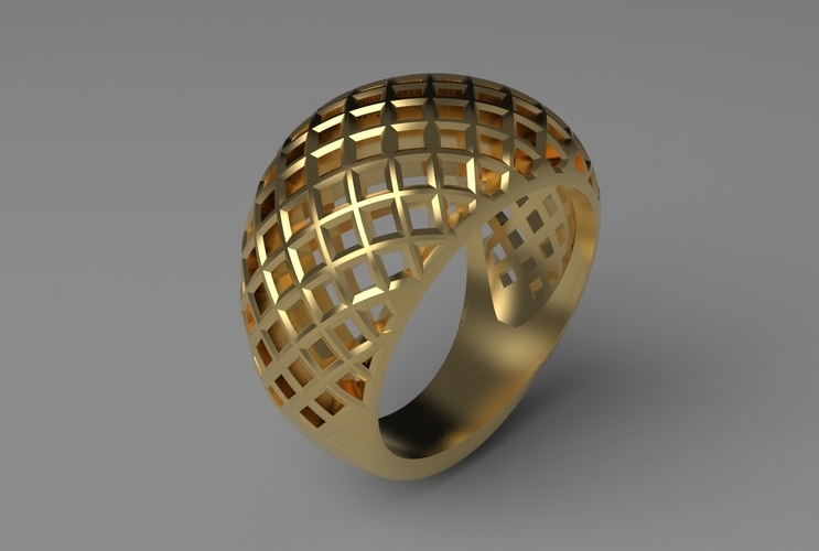 cribriform ring 3D Print 494777