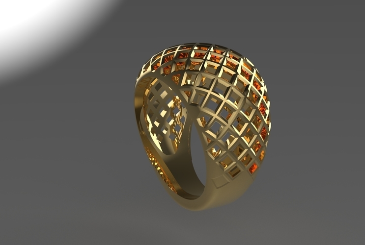 cribriform ring 3D Print 494779