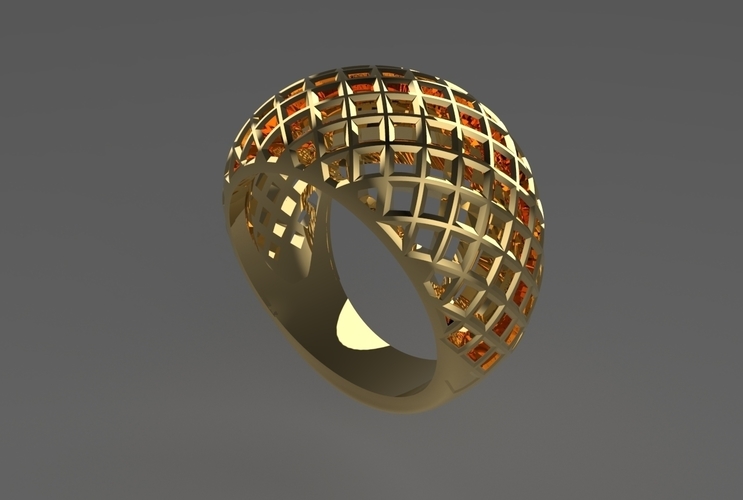 cribriform ring 3D Print 494780