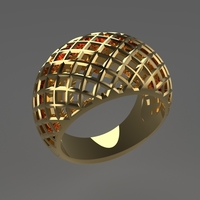 cribriform ring - Thumbnail 5