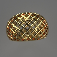 cribriform ring - Thumbnail 6