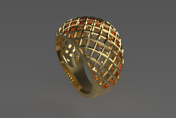 cribriform ring 3D Print 494783