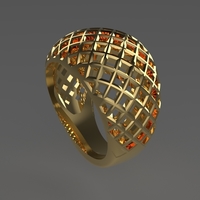 cribriform ring - Thumbnail 7