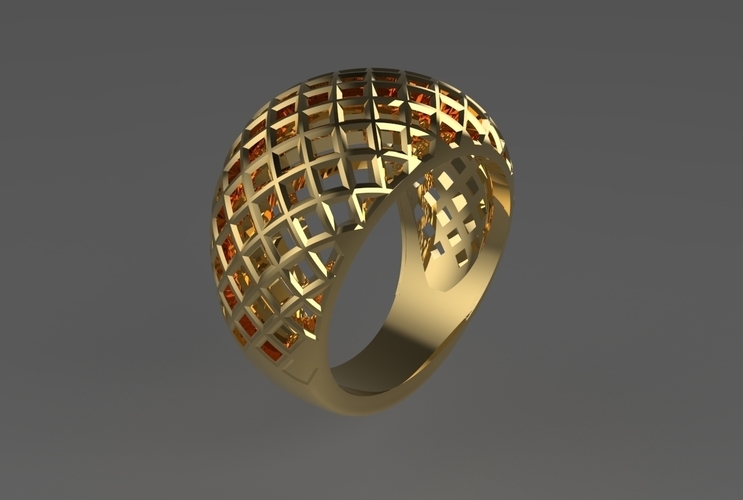 cribriform ring 3D Print 494784