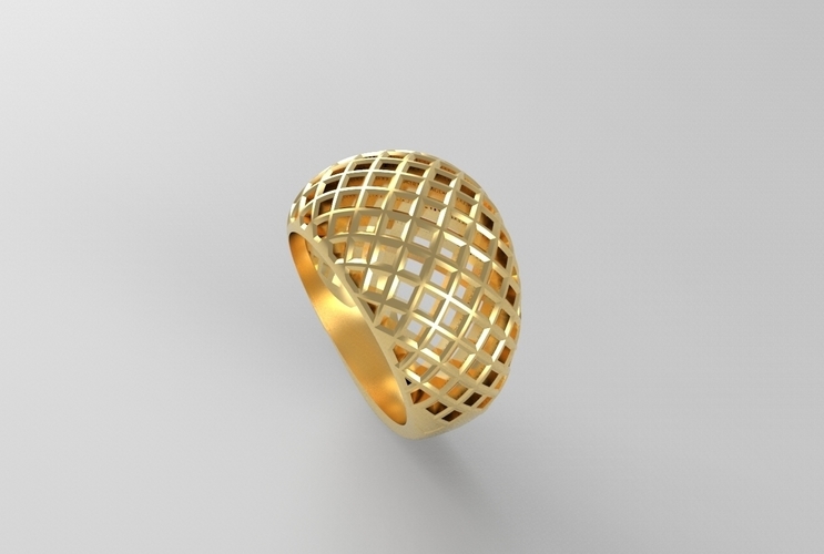 cribriform ring 3D Print 494785