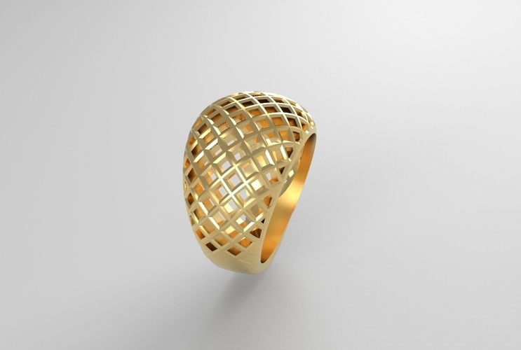 cribriform ring 3D Print 494786