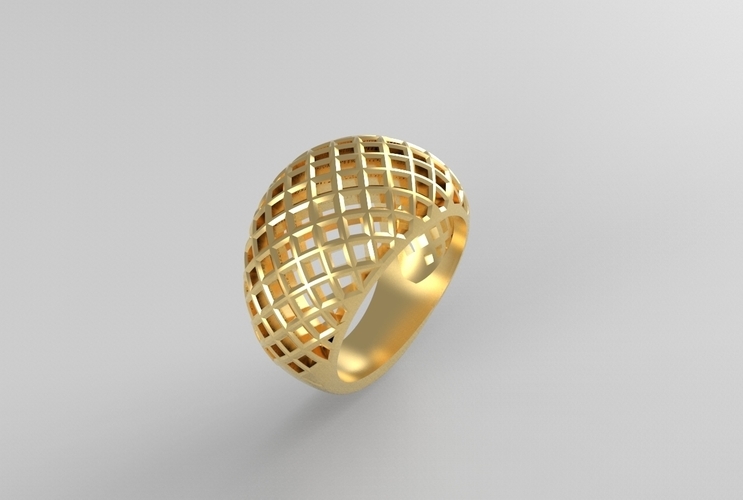 cribriform ring 3D Print 494787