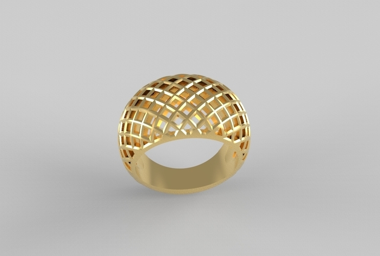 cribriform ring 3D Print 494788