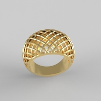 cribriform ring - Thumbnail 12