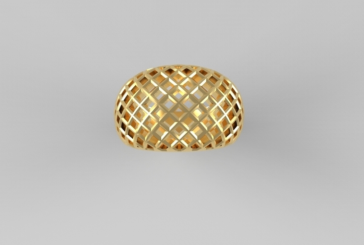 cribriform ring 3D Print 494790