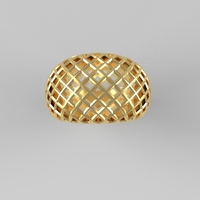 cribriform ring - Thumbnail 14