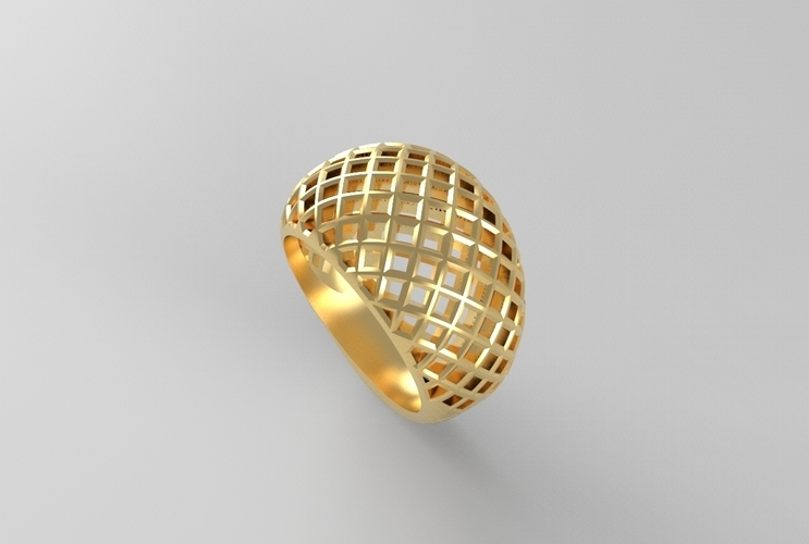 cribriform ring 3D Print 494791