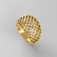 cribriform ring - Thumbnail 15