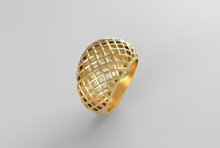 cribriform ring 3D Print 494792