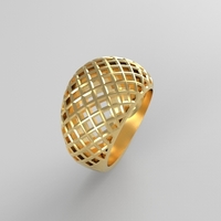 cribriform ring - Thumbnail 16