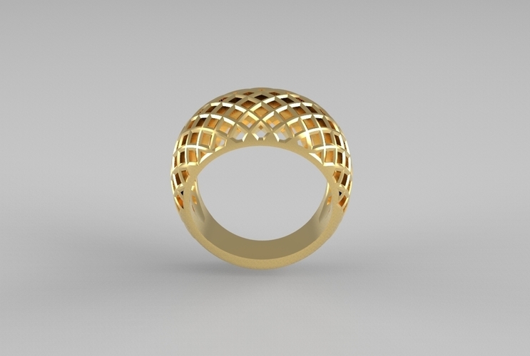 cribriform ring 3D Print 494793