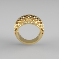 cribriform ring - Thumbnail 17