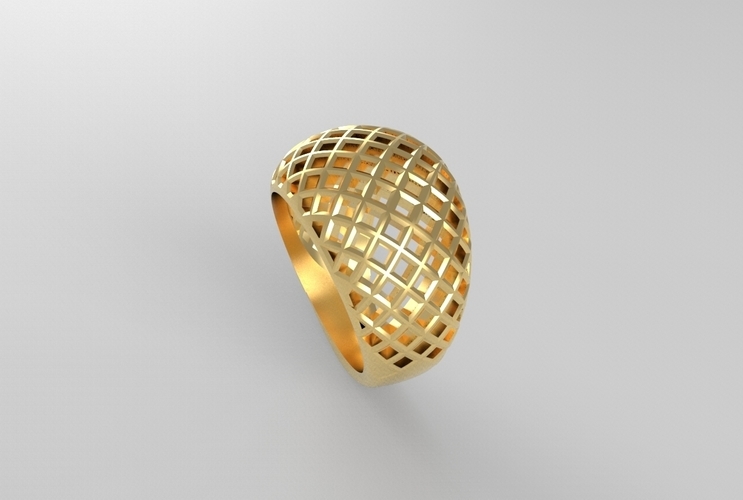 cribriform ring 3D Print 494794