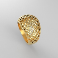 cribriform ring - Thumbnail 18