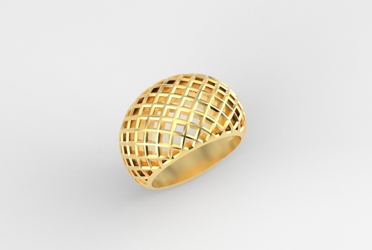 cribriform ring 3D Print 494795