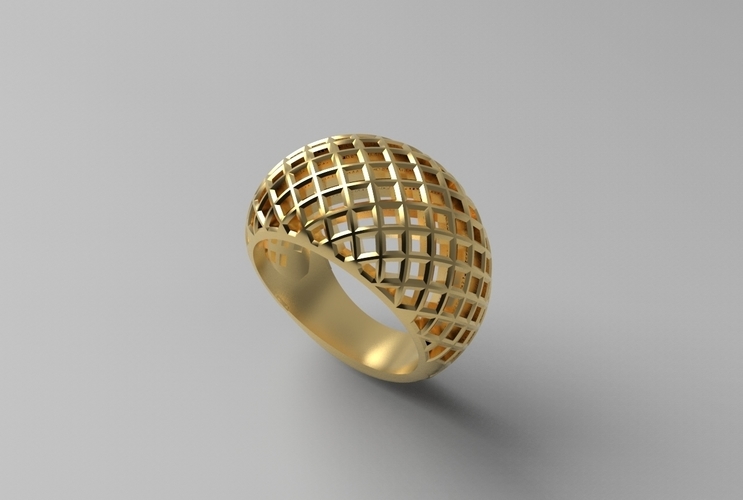 cribriform ring 3D Print 494796