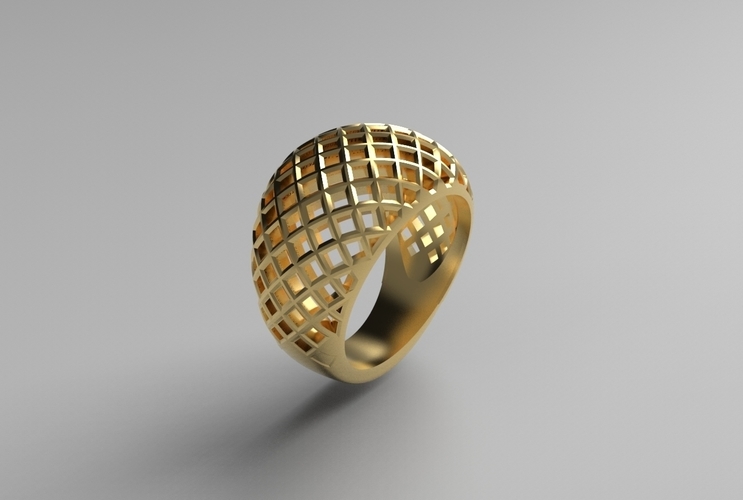 cribriform ring 3D Print 494797